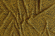Iconic Animal Print Patterns, a Pattern Graphic by Jaclyn Caris (Thumbnail 16 of 16)