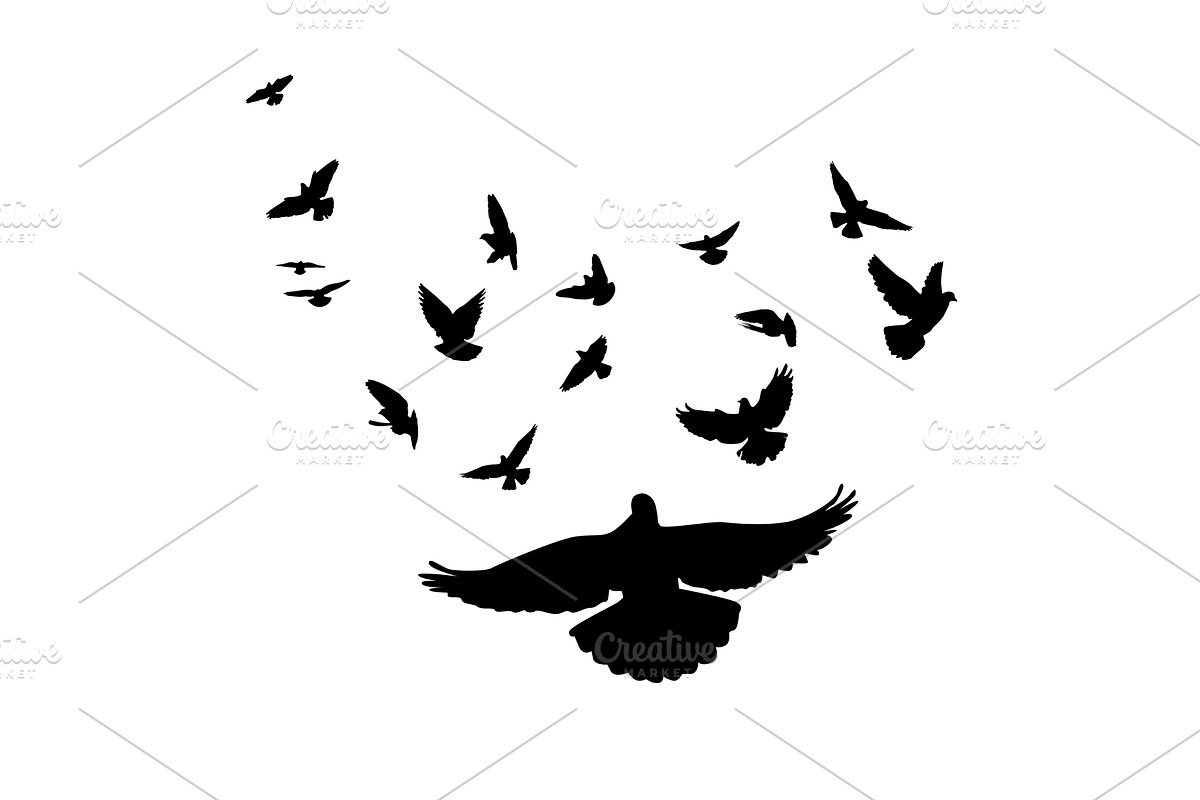Flying birds silhouettes on white, an Animal Illustration by Nenahliadava Design