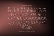Glica Qidvers | Modern Elegant Serif, a Serif Font by Denustudios (Thumbnail 13 of 14)
