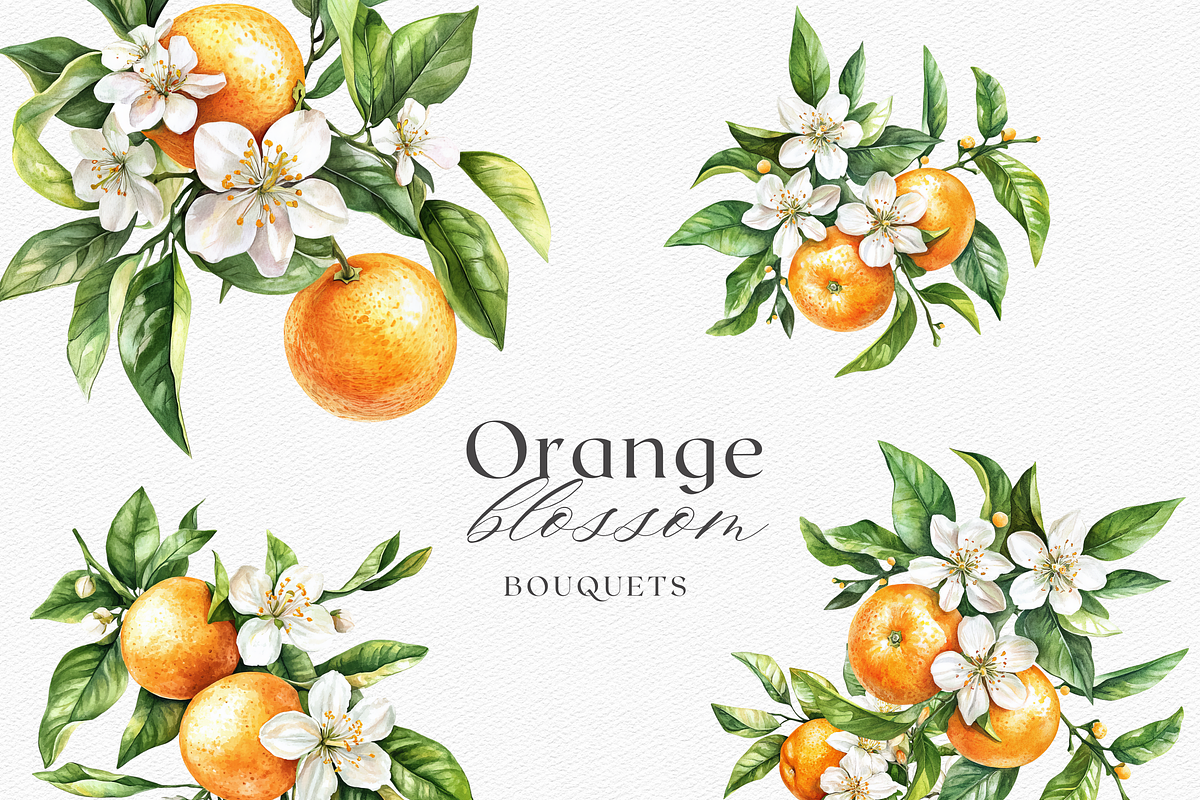 Orange Blossom - Watercolor Set, a Decorative Illustration by ThaismotaCreativeCo (Photo 3 of 9)