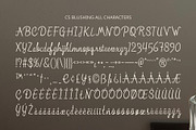 CS Blushing – Script Font, a Script Font by Craft Supply Co. (Thumbnail 8 of 8)