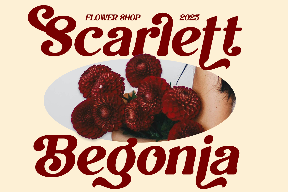 Belyora - Stylish Retro Font, a Serif Font by Font Liner (Photo 10 of 13)