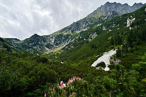 Scenic mountain valley near Zakopane Poland with alpine greenery and rugged pea, a Nature Photo by AS photostudio
