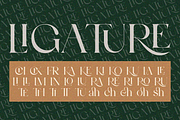 Bulgash, a Serif Font by zaaintype (Thumbnail 7 of 10)
