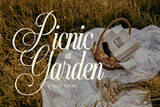 Arvina Wedding Script Font, a Script Font by Elegant Font (Thumbnail 7 of 8)