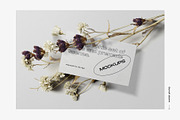 50%OFF The Scene Creator 2-top view, a Packaging Mockup by Creatoom (Thumbnail 11 of 40)