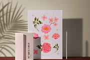 SCARLET RED - Flower Collection, an Object Graphic by Artflorara (Thumbnail 2 of 12)