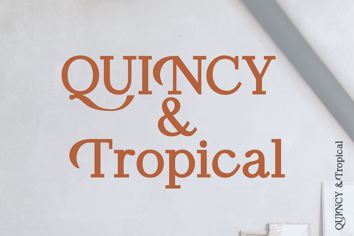 Koolvexa | A Modern Slab Serif, a Slab Serif Font by Qaratype (Photo 4 of 16)