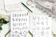 Wedding Map Creator Line Collection, an Animal Illustration by Alisha Gronska (Thumbnail 3 of 8)