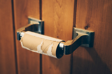 Empty Toilet Paper Roll Closeup
