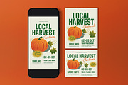 Local Harvest Festival Flyer, a Flyer Template by graphicook (Thumbnail 3 of 3)