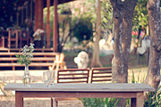 Cafe table terrace stock photo containing cafe and outdoor, a Nature Photo by mutita.narkmuang (Thumbnail 1 of 2)