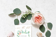 Eucalyptus Bloom Watercolor, a Texture Illustration by Olga Koelsch (Thumbnail 3 of 11)