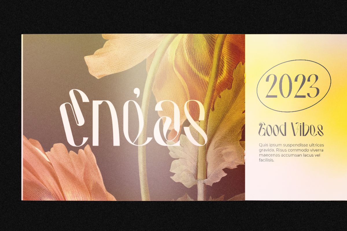 Hausser Modern Display, a Font by Creatype Studio (Photo 3 of 11)