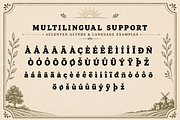 Sunny Acres - Bold Serif Font, a Serif Font by overlaytemplates (Thumbnail 5 of 5)