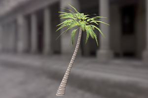 Palm_Tree