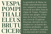 TT Vermolin — Modern Classy Serif, a Serif Font by truetype (Thumbnail 5 of 15)