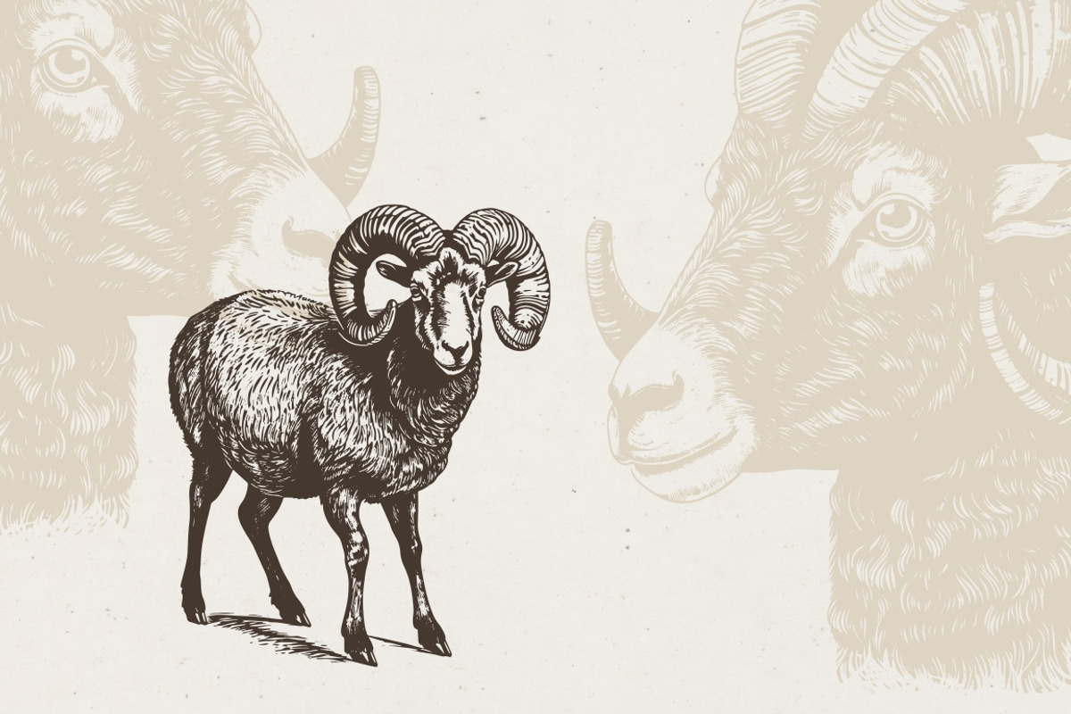 Farm Animals Illustrations, an Animal Illustration by Nocturnal Wolf (Photo 3 of 14)