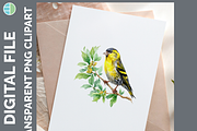 Bird Illustration Bundle, 21 PNG, an Animal Illustration by Enliven Designs (Thumbnail 7 of 8)