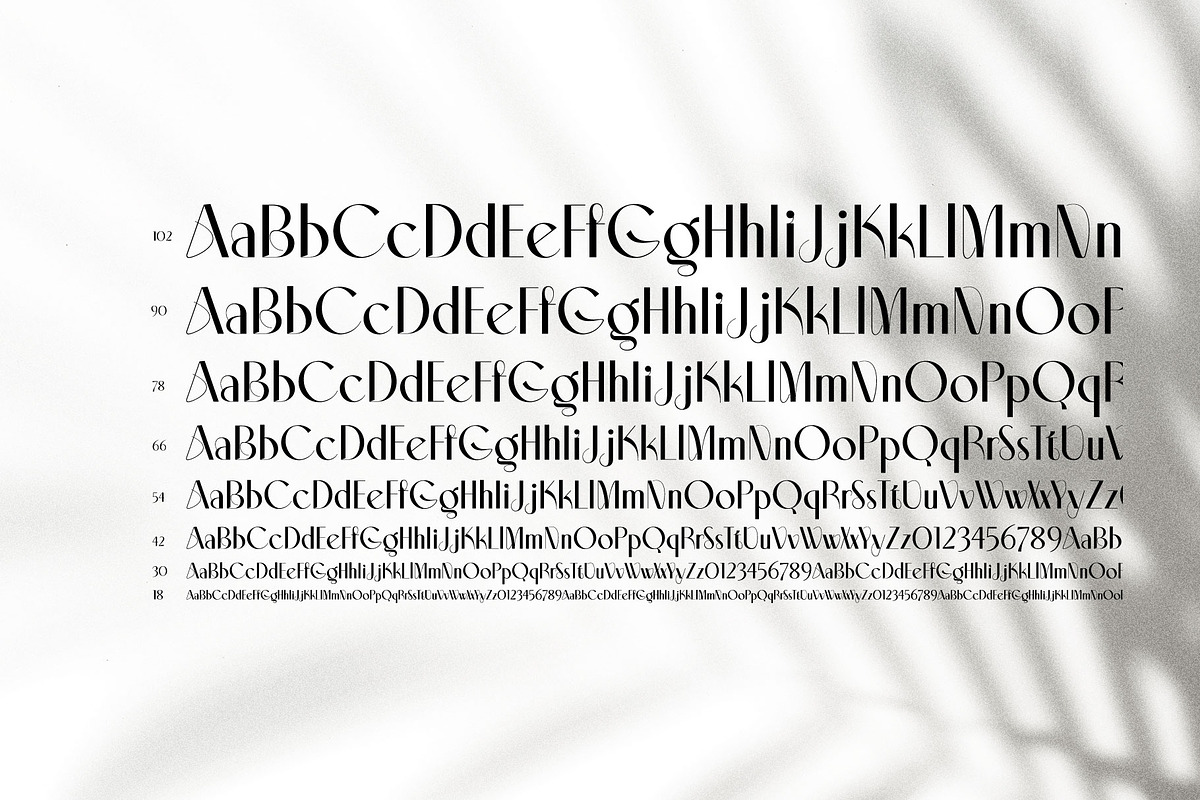 Aleesya Rose Display Font Family, a Sans Serif Font by Ryul Davidson (Photo 16 of 17)