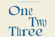 Alvinus Mix, a Serif Font by Craft Supply Co. (Thumbnail 3 of 8)