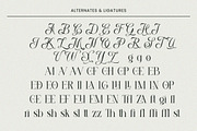 Klandestin - Elegant Serif Typeface, a Serif Font by Dryy.type (Thumbnail 11 of 11)