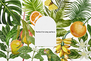 Vintage Botanical clipart, an Object Graphic by mila_leev (Thumbnail 8 of 8)