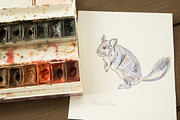 Watercolor vector domestic animals, an Animal Illustration by miminoshka (Thumbnail 8 of 8)