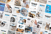 Veterinary Canva Templates Bundle, a Social Media Template by Canvagator (Thumbnail 2 of 3)