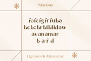 Mariona Luxury Serif Font, a Serif Font by Compaq_Creative (Thumbnail 15 of 15)