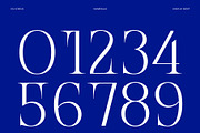 CS Atreus – Modern Serif Font, a Serif Font by Craft Supply Co. (Thumbnail 4 of 8)