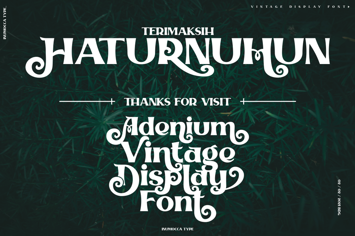 Adenium, a Serif Font by inumocca_type (Photo 11 of 11)