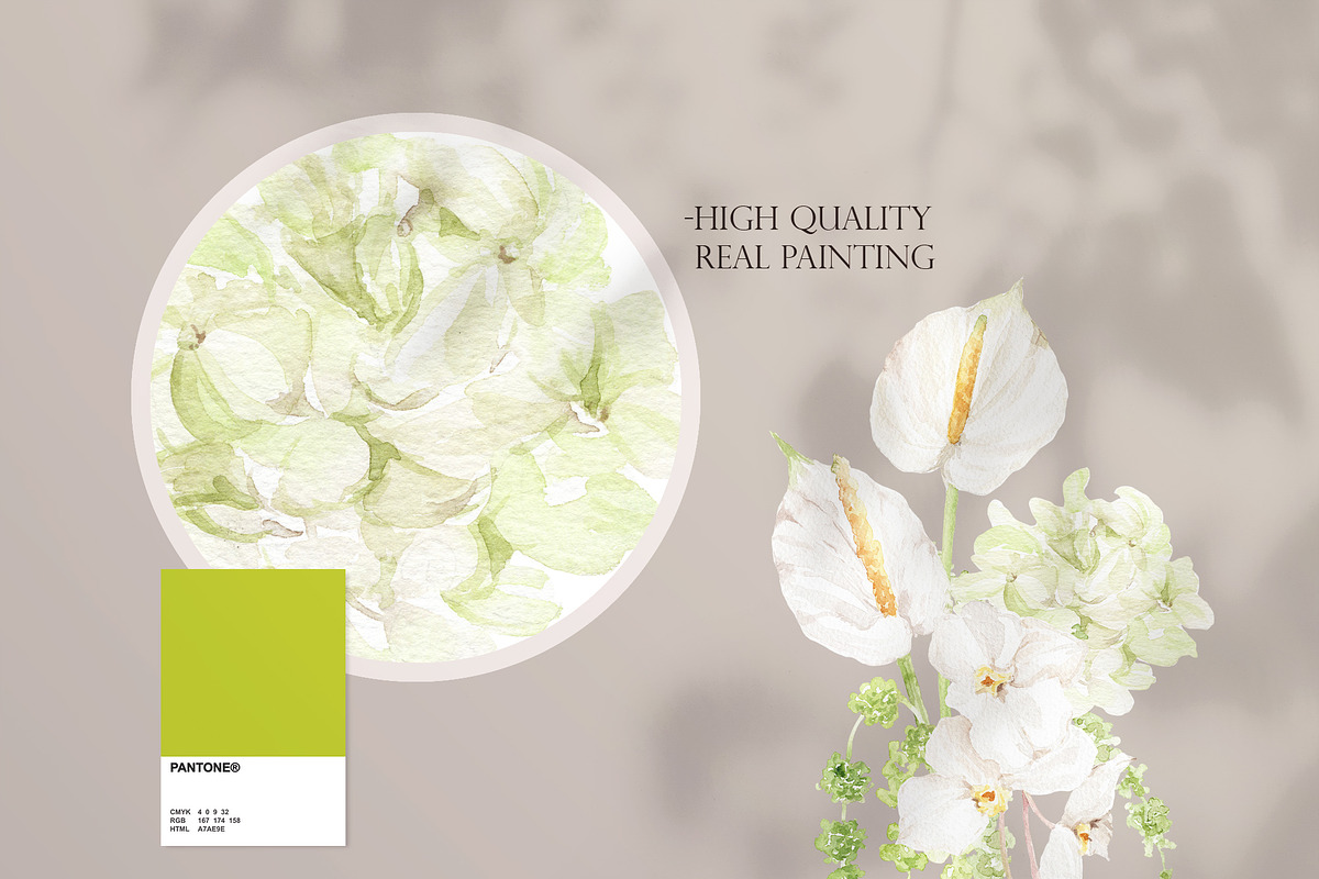 Watercolor Flower- AMARANTHUS, a Decorative Illustration by Beigetime (Photo 2 of 15)