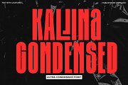 Kalina - Ultra Condensed Font, a Sans Serif Font by Say Studio (Thumbnail 1 of 12)