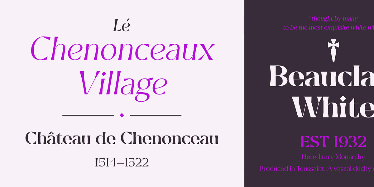 Celaraz, a Serif Font by Tokotype (Photo 3 of 6)
