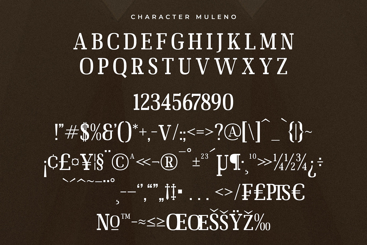 Muleno Slab Serif Font, a Serif Font by Storytype Studio (Photo 13 of 15)