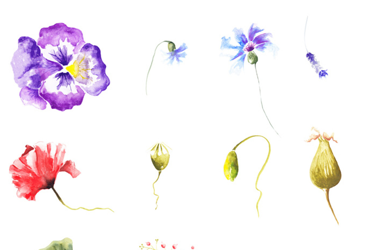 Watercolour Mockups, an Illustration by Renovatio (Photo 6 of 6)