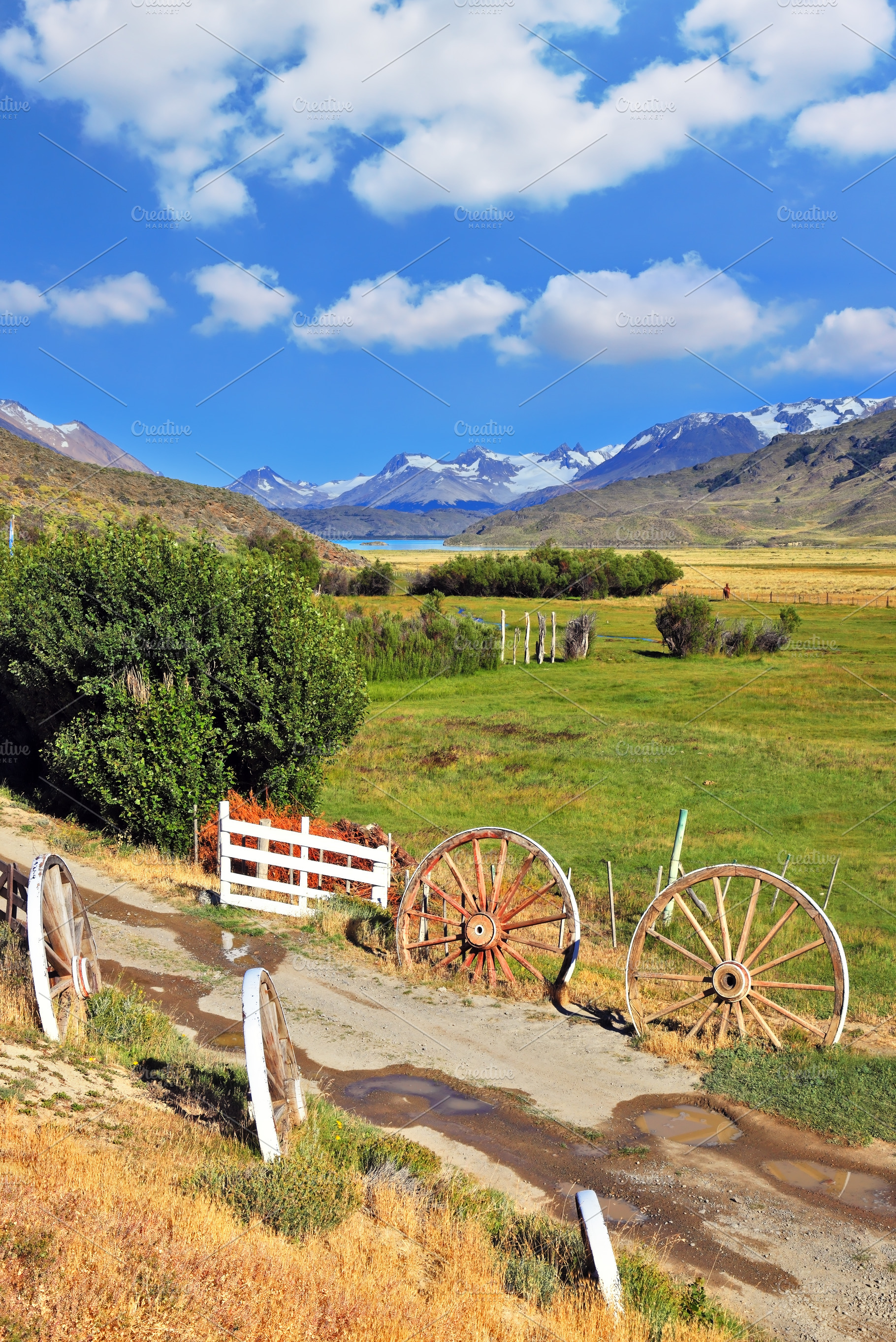 The  road to the hospitable estancia, a Nature Photo by kavram