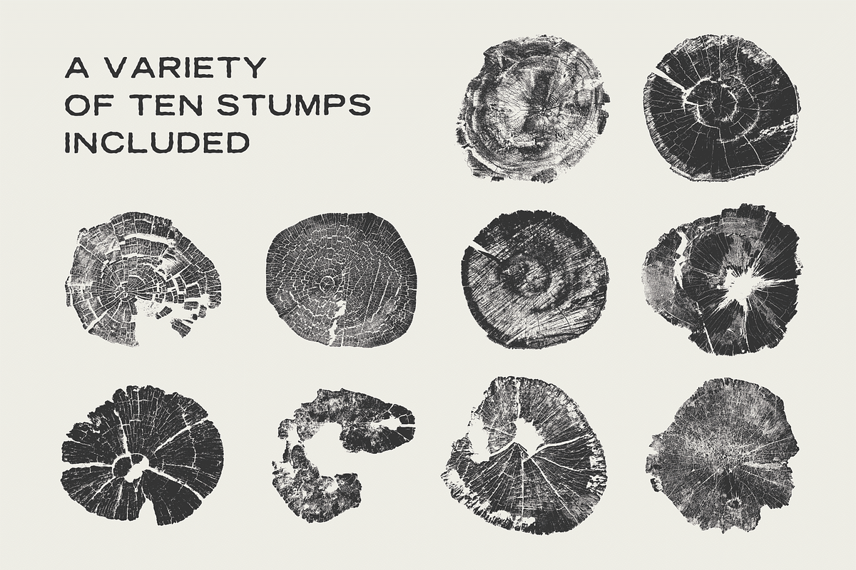 Wood Tree Ring Stump Vectors, a Graphic by GhostlyPixels (Photo 4 of 4)