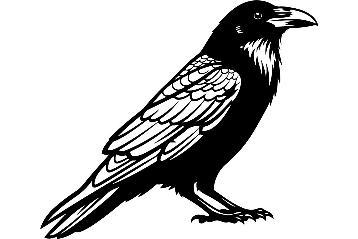 Forest Sky Birds Illustration Vector, an Animal Illustration by Designer_Momina (Photo 21 of 21)