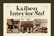 Rafina Elegant Serif Font, a Serif Font by Graphicxell (Thumbnail 5 of 8)