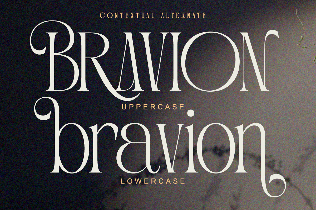 Portiso - Modern Luxury Serif, a Serif Font by Qweera Studio (Photo 3 of 12)