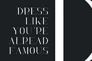 RoseGold Serif font + 10 Logos, a Serif Font by VP Fonts (Thumbnail 3 of 20)