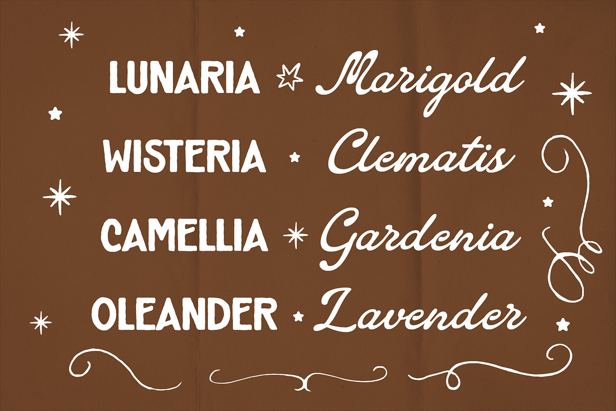 Crenville Fontage Vintage Font Duo, a Script Font by Tyasify (Photo 4 of 9)