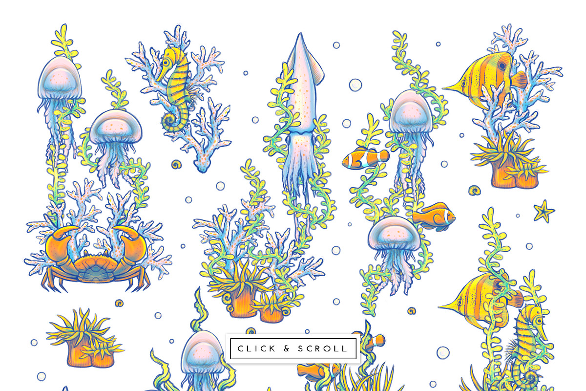 OCEAN Patterns & Clipart, a Decorative Illustration by Liiafis (Photo 8 of 15)