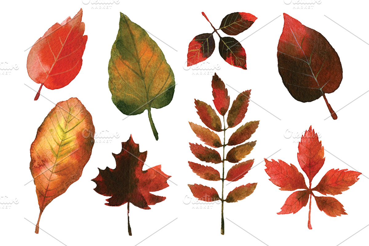 Watercolor autumn leaves, an Illustration by lenlis (Photo 3 of 5)