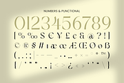 Bulgaria Modern Unique Swash Luxury, a Serif Font by Sensatype (Thumbnail 11 of 12)