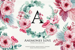 Anemones love