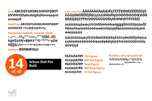 SchussSlabProBold No.14 1 Font