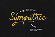 Sympathic, a Script Font by Letterature Std. (Thumbnail 2 of 10)